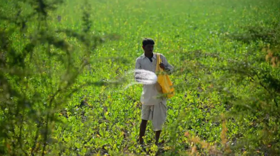 Gujarat Fertilizers Results FY 23