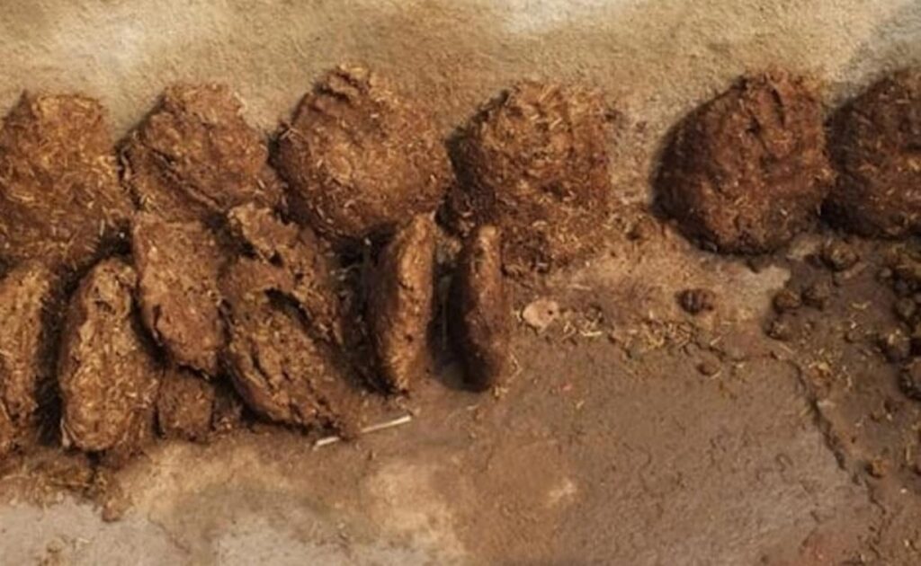 How Cow Dung-Based Natural Paint Can Be A Game Changer For Paint Manufacturers?