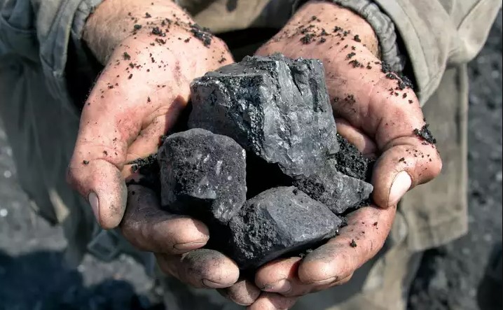 Coal India Q1 Results Shows 27% YoY Fall In PAT