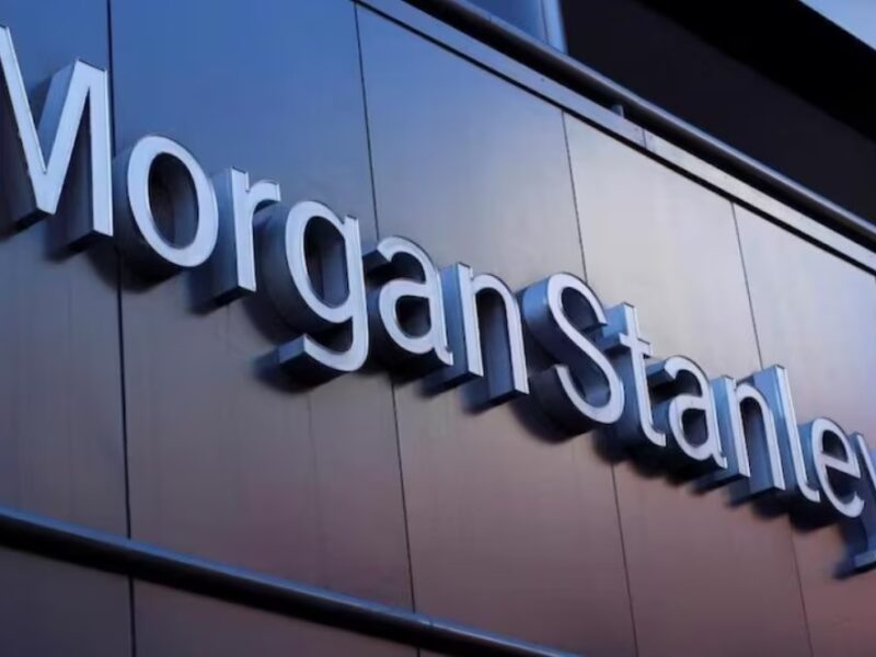 Asian Paints, Berger, Nerolac Towards the Massive Growth: Morgan Stanley