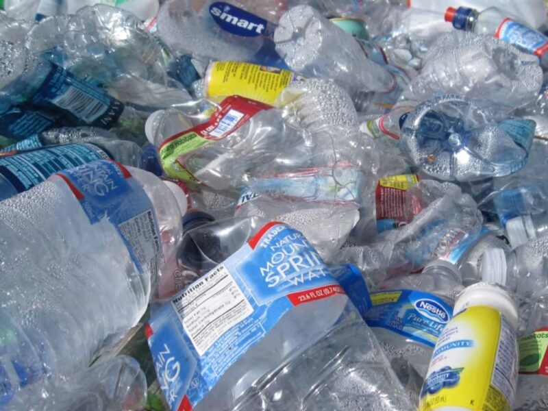 Japan Scientists Develop Partially Biodegradable and Stronger Plastic