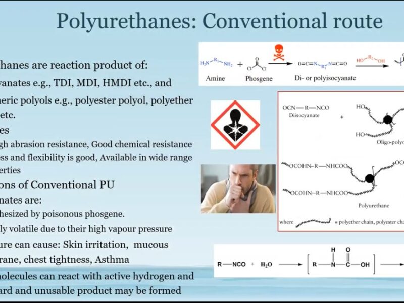 Non-Isocyanate Polyurethanes for Sustainable Paint Technology