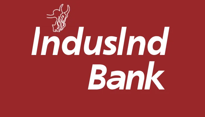 IndusInd Bank clarifies SFIO reference, says reporting done as per RBI norms