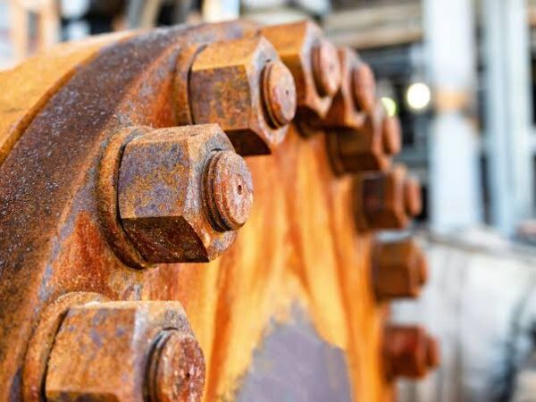 Tannin-rich pigments emerge as eco-friendly alternative in anticorrosive coatings