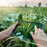 Centre pushes AI, drones to lift farm productivity, livelihoods