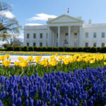 U.S. accelerates ‘comprehensive Gaza peace plan’; forms international Board of Peace under Trump