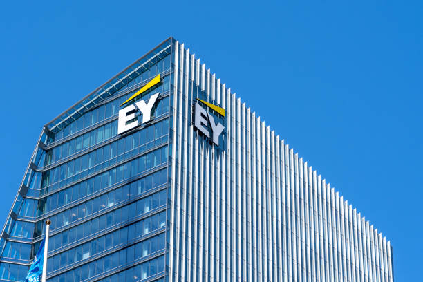Hatsun Agro reappoints EY as internal auditor for FY27