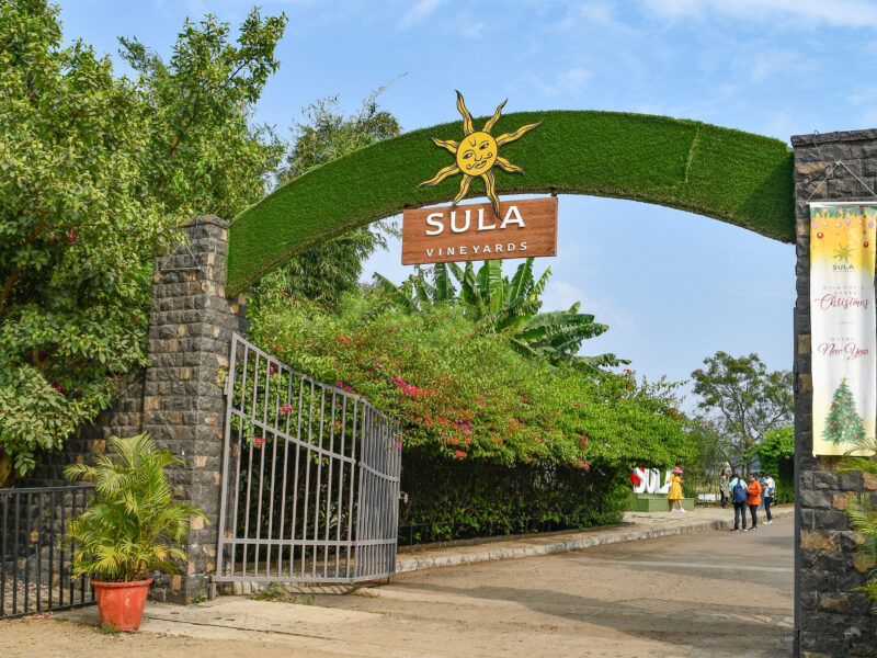 Sula Vineyards bets on wine tourism, premiumisation to ride out destocking hit; sees demand recovery in key states