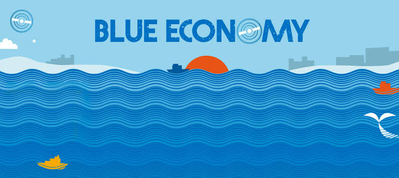 India pushes seaweed as Blue Economy engine; targets 1.12 million tonnes by 2030