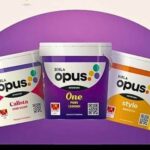 Indigo Paints Limited plays down competitive threat from Birla Opus; margins intact despite market noise