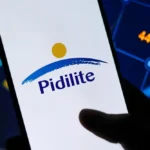 Pidilite posts 11% Q3 revenue growth, margins expand on lower input costs