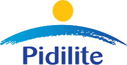 Pidilite’s paint expansion, export bets face valuation scrutiny